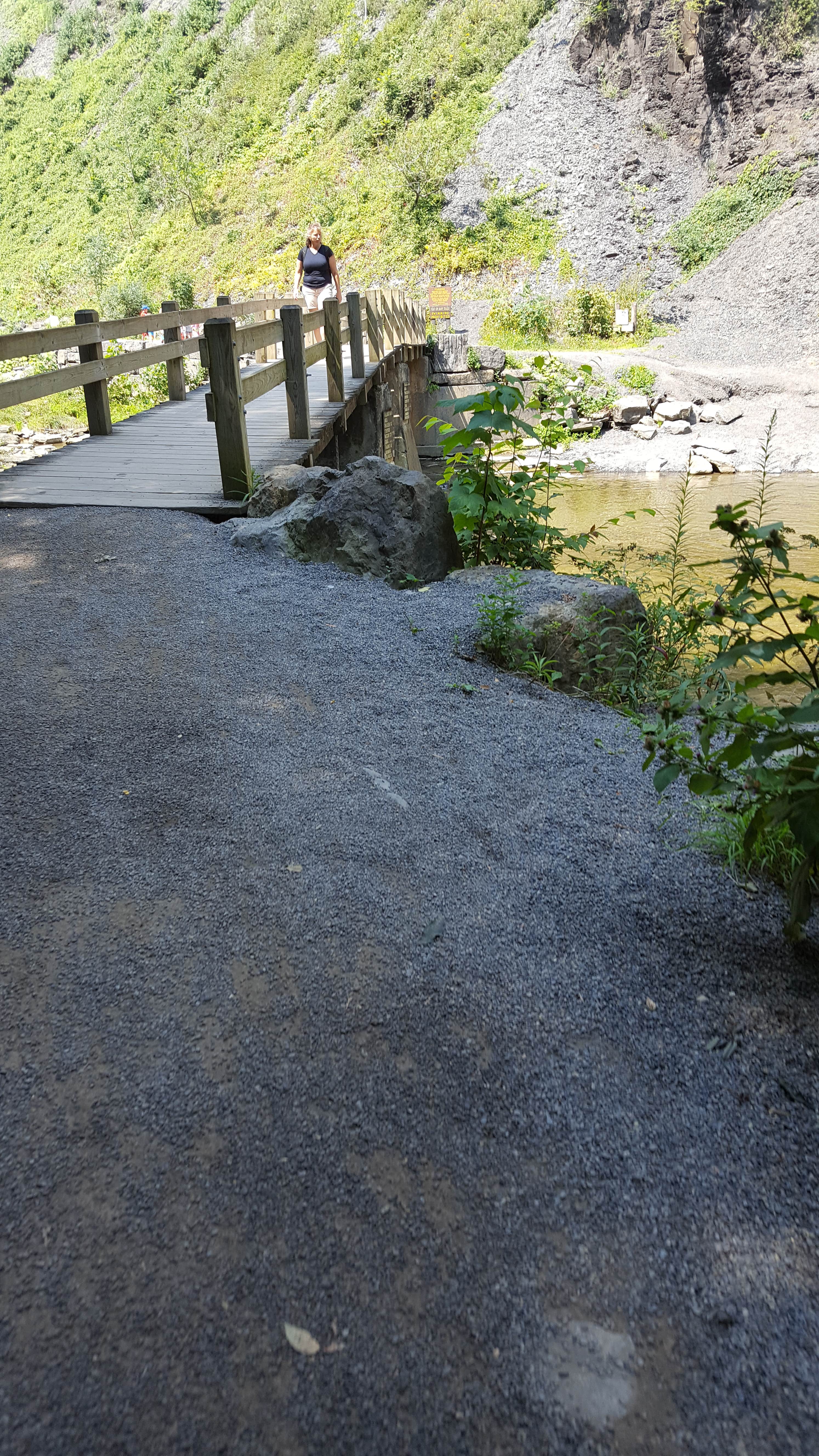 Camper submitted image from Taughannock Falls State Park Campground - 5