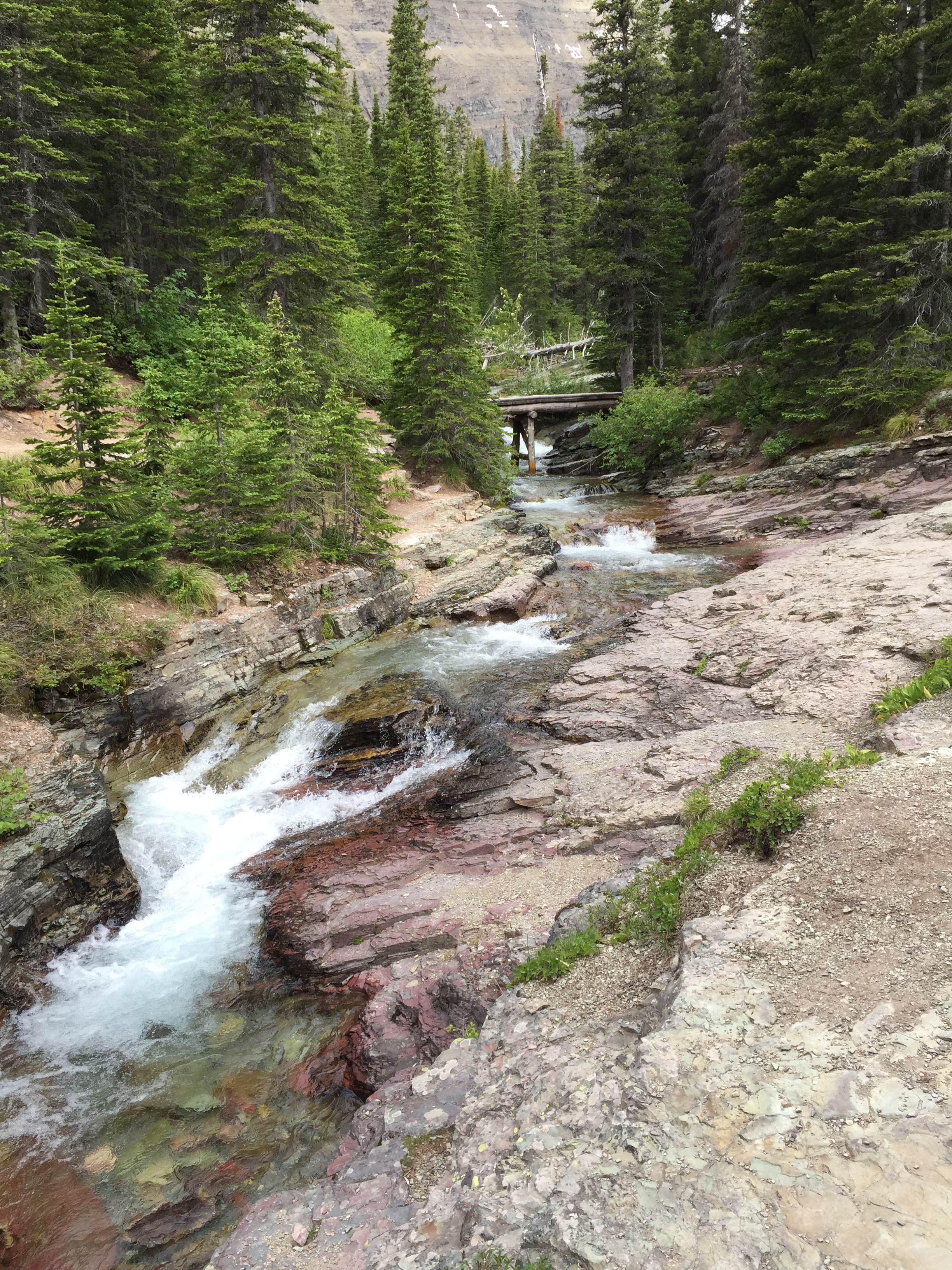 Camper submitted image from Many Glacier Campground — Glacier National Park - 4