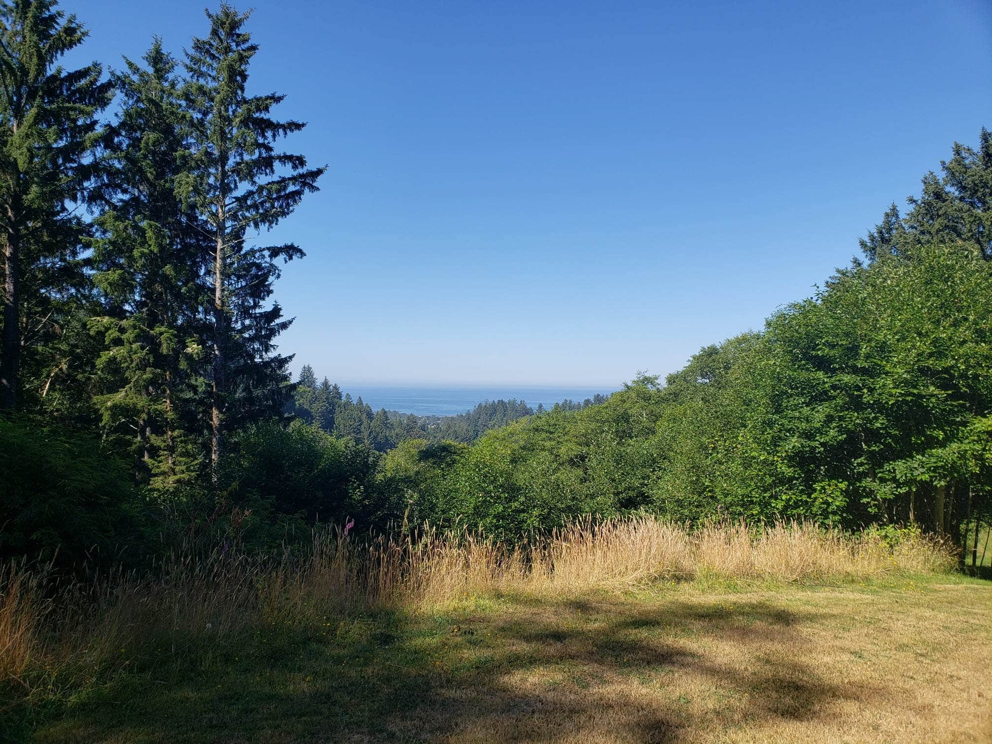 Camping near Cape Kiwanda RV Resort and Marketplace: Namastay Right Here Coastal Haven, Neskowin, Oregon