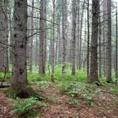 Review photo of Bowman Lake State Park Campground by Katarina  M., September 29, 2018