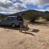 Review photo of Blair Valley Primitive Campground — Anza-Borrego Desert State Park by Hannah  K., January 20, 2023