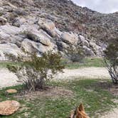 Review photo of Blair Valley Primitive Campground — Anza-Borrego Desert State Park by cal K., January 20, 2023