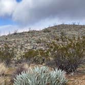 Review photo of Blair Valley Primitive Campground — Anza-Borrego Desert State Park by Hannah  K., January 20, 2023