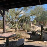 Review photo of Blair Valley Primitive Campground — Anza-Borrego Desert State Park by cal K., January 20, 2023