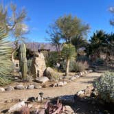 Review photo of Blair Valley Primitive Campground — Anza-Borrego Desert State Park by cal K., January 20, 2023