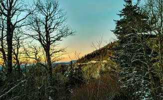 Ethan B.'s photo of a dispersed camping area at Blue Ridge Roadside Campsites near Glendale, SC