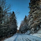 Review photo of Blue Ridge Roadside Campsites by Ethan B., January 20, 2023