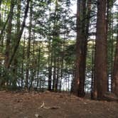 Review photo of Luzerne Campground by Katarina  M., September 29, 2018