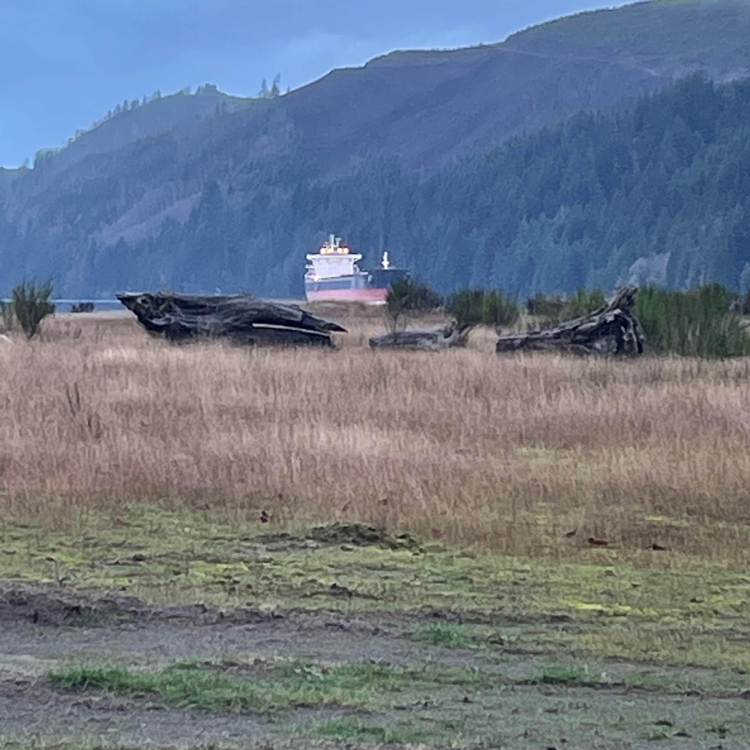 Skamokawa Vista Park Camping Skamokawa, WA