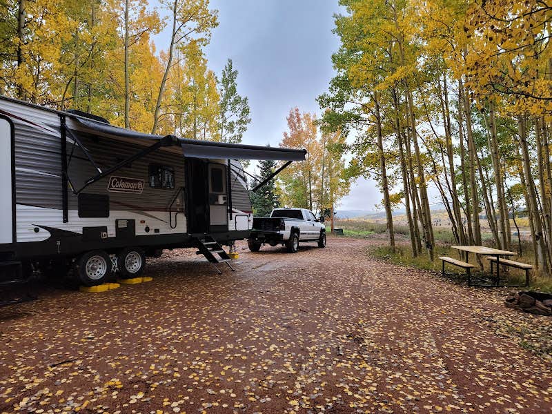 Camper-submitted photo at Rocking M Ranch Campground (RV Park) near Lake George, CO