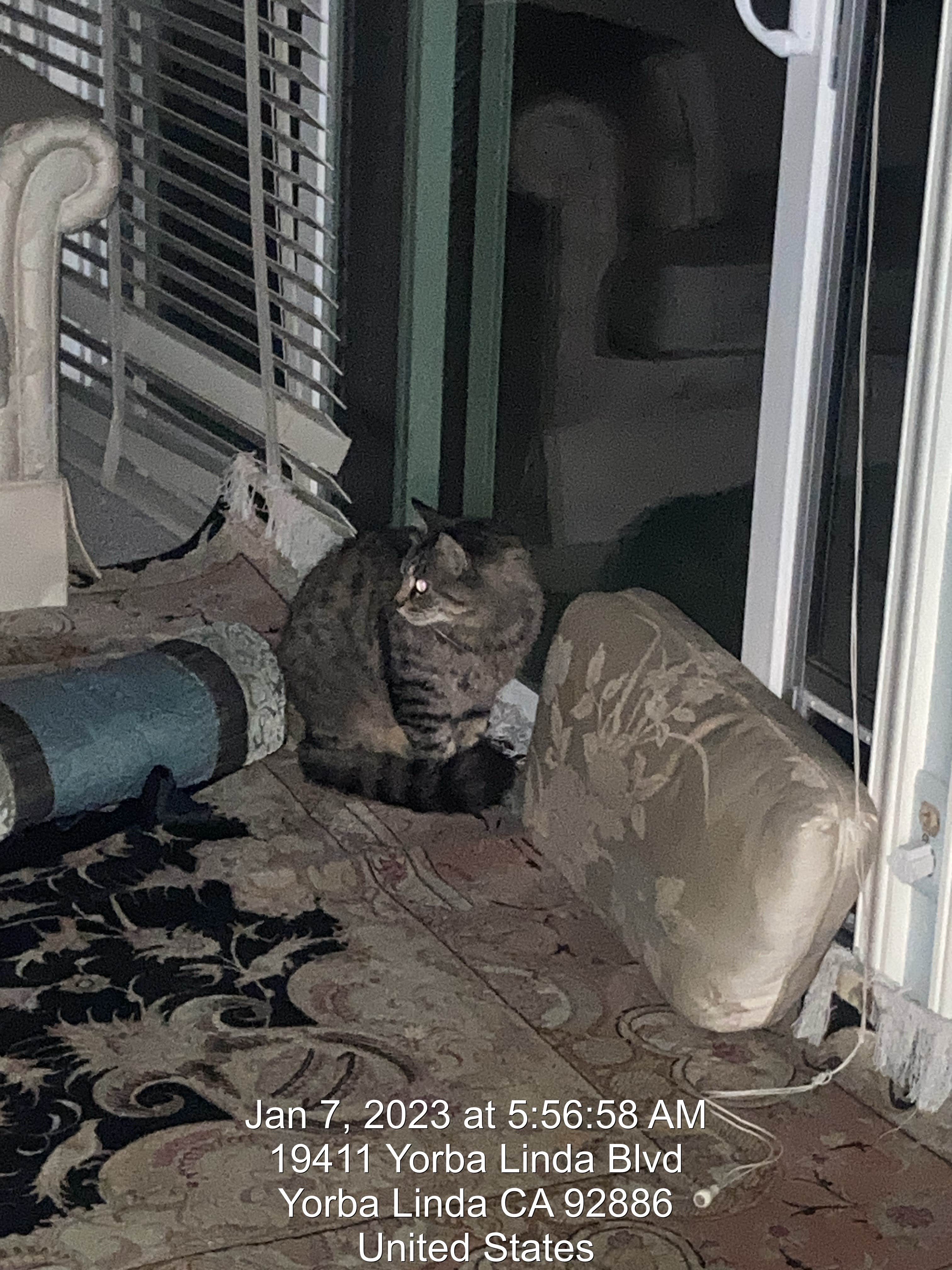 Camper-submitted photo at Country Hills RV Park Resort near Hemet, CA