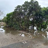 Review photo of Doheny State Beach Campground by Manuel P., January 21, 2023