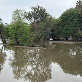 Review photo of Doheny State Beach Campground by Manuel P., January 21, 2023