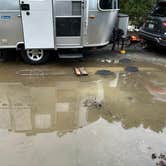 Review photo of Doheny State Beach Campground by Manuel P., January 21, 2023