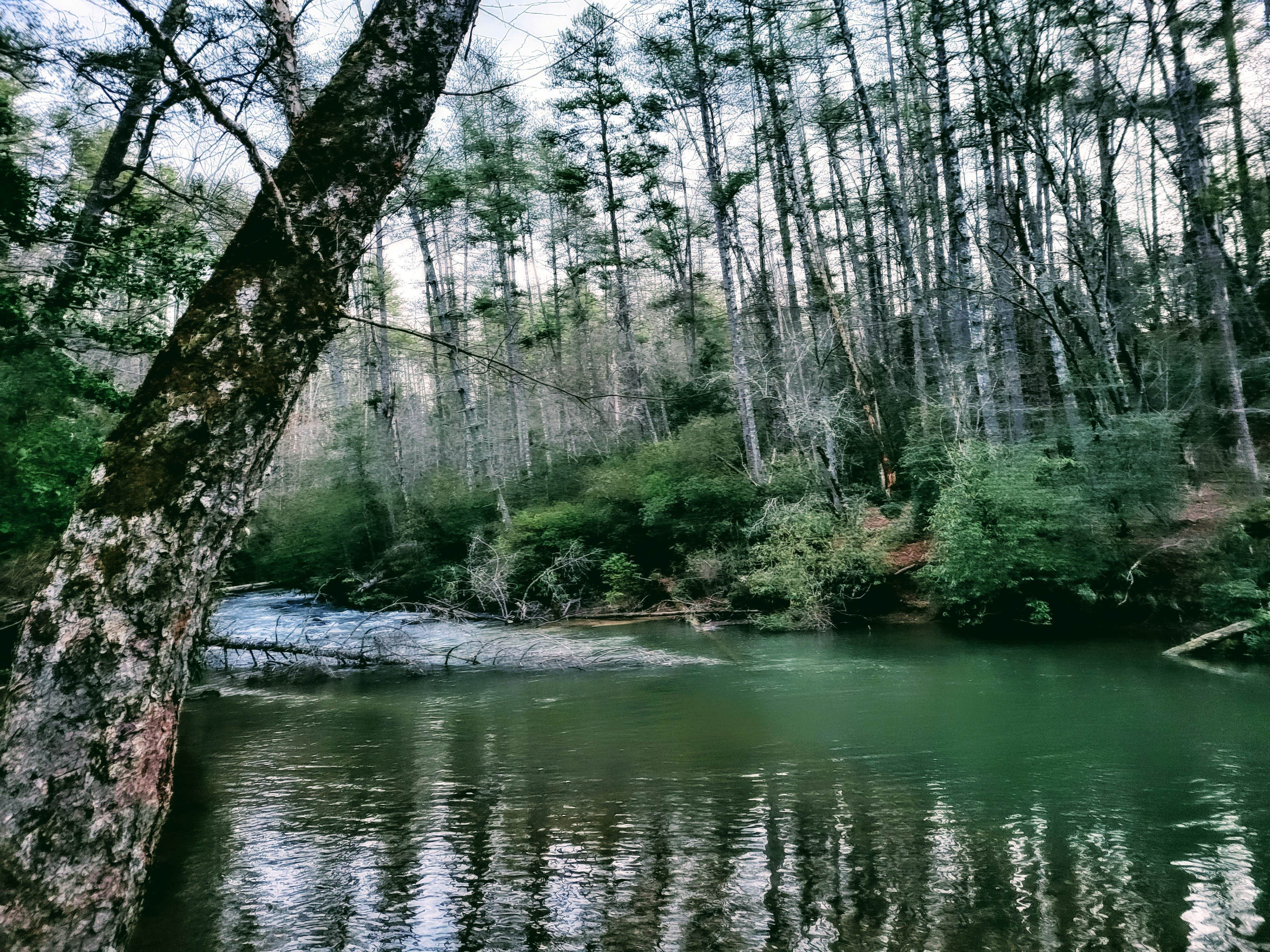 Ethan B.'s photo of a dispersed camping area at Blackwell Bridge near Glendale, SC