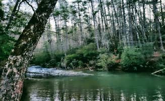 Ethan B.'s photo of a dispersed camping area at Blackwell Bridge near Anderson, SC