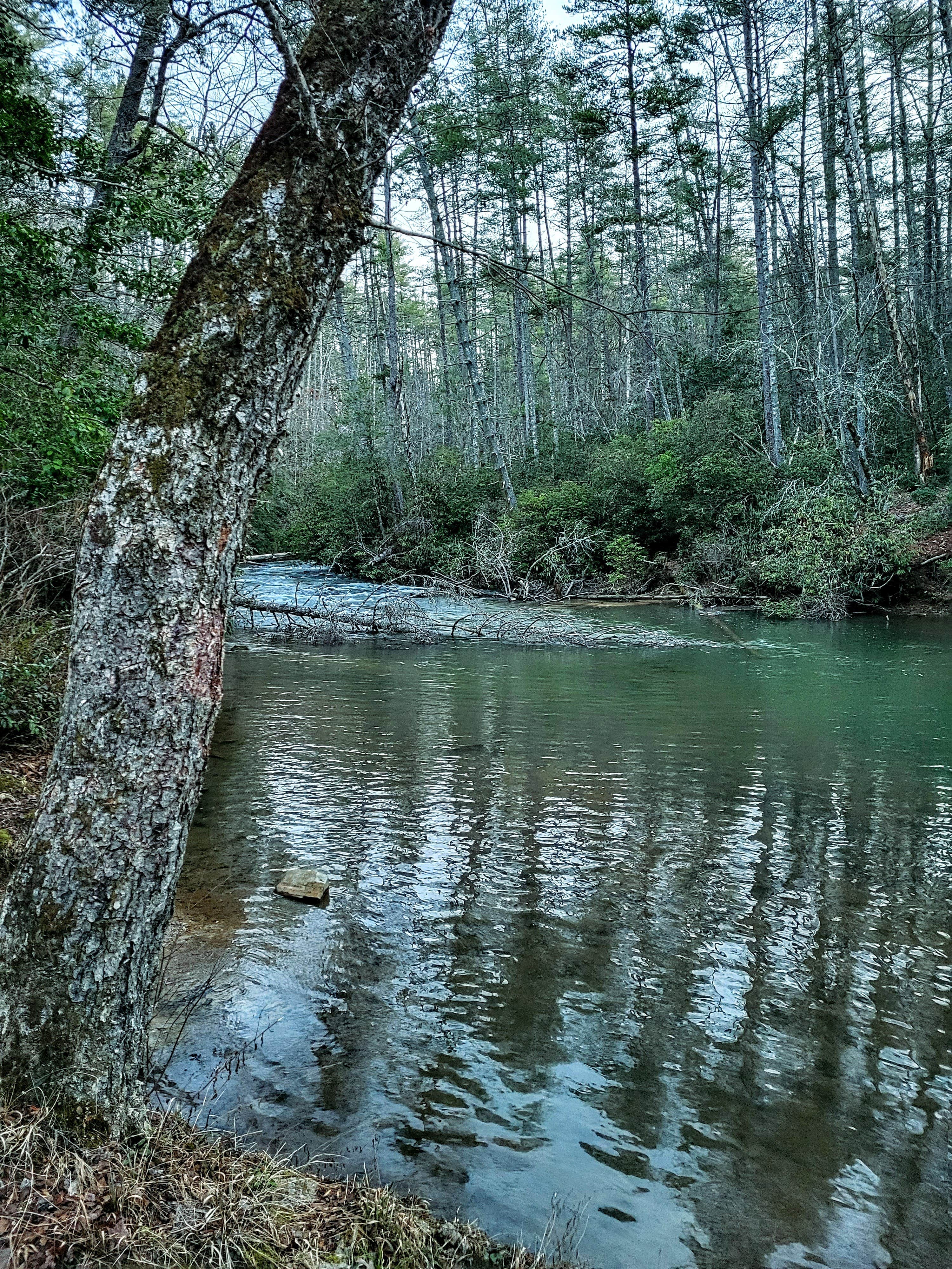 Camper-submitted photo at Blackwell Bridge near Central, SC