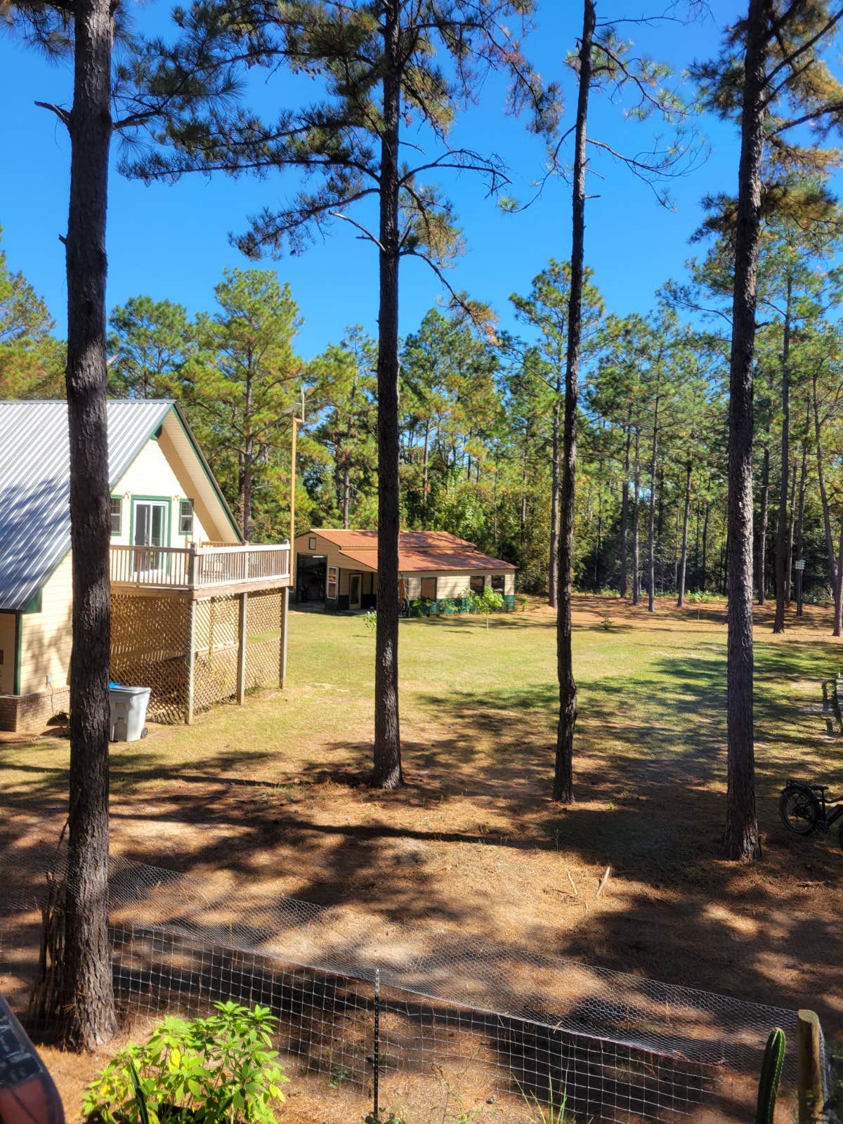 Camper-submitted photo at Under the Hoof near Atmore, AL