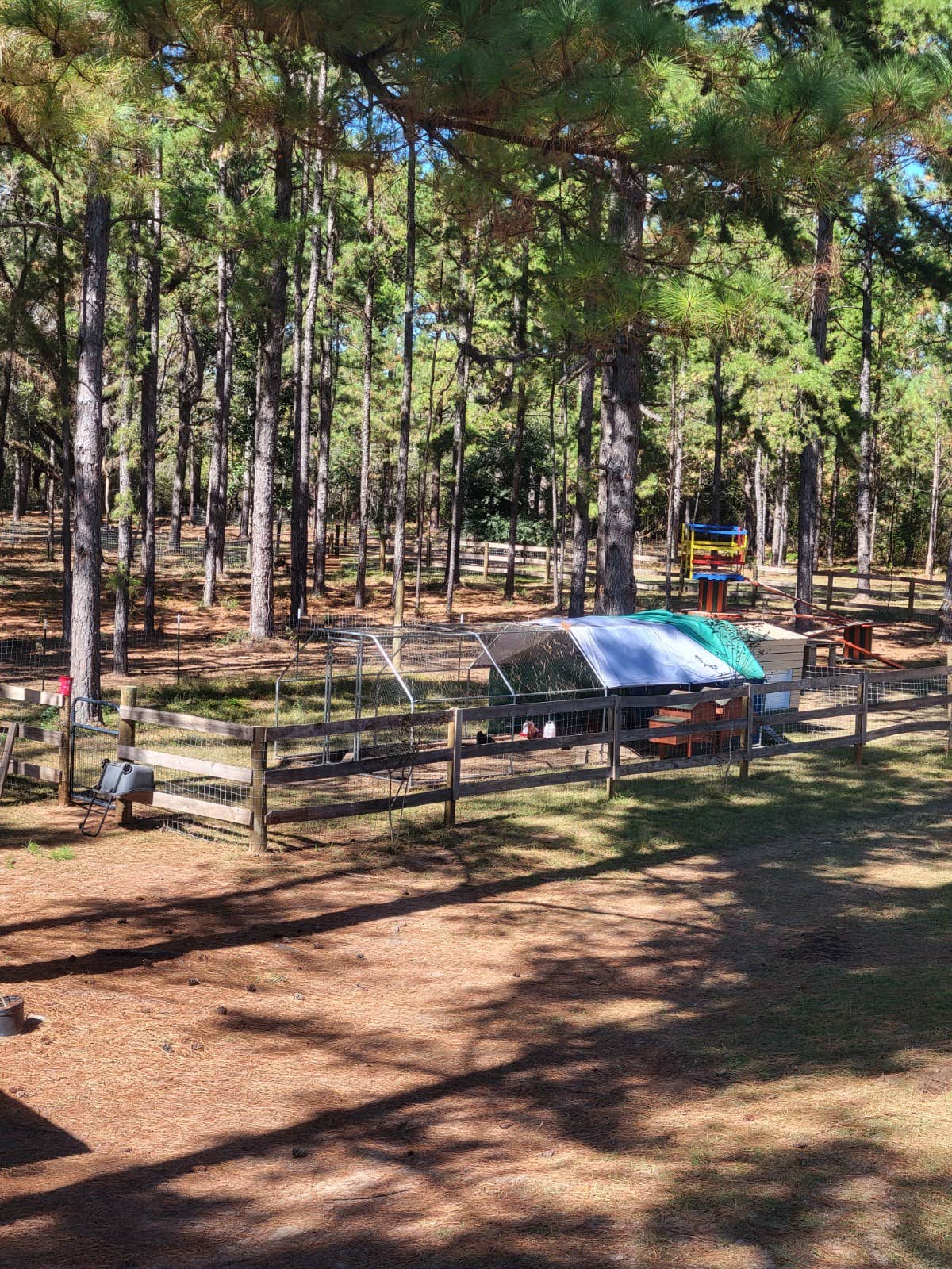 Camper-submitted photo at Under the Hoof near Atmore, AL