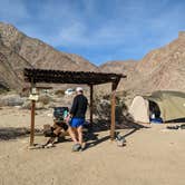 Review photo of Borrego Palm Canyon Campground — Anza-Borrego Desert State Park by Karolina N., January 21, 2023