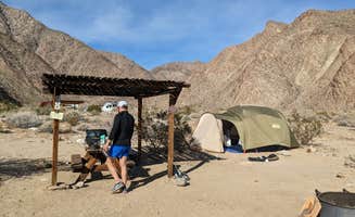Karolina N.'s photo at Borrego Palm Canyon Campground — Anza-Borrego Desert State Park near Warner Springs, CA