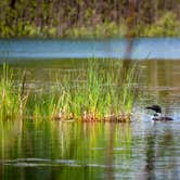 Review photo of Musky Lake Campground — Northern Highland State Forest by Selah S., September 29, 2018