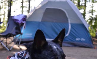 Selah S.'s photo at Musky Lake Campground — Northern Highland State Forest near Boulder Junction, WI