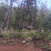 Review photo of Crags Campground by Hannah B., September 29, 2018