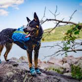 Review photo of Quartzite Campground — Devils Lake State Park by Selah S., September 29, 2018