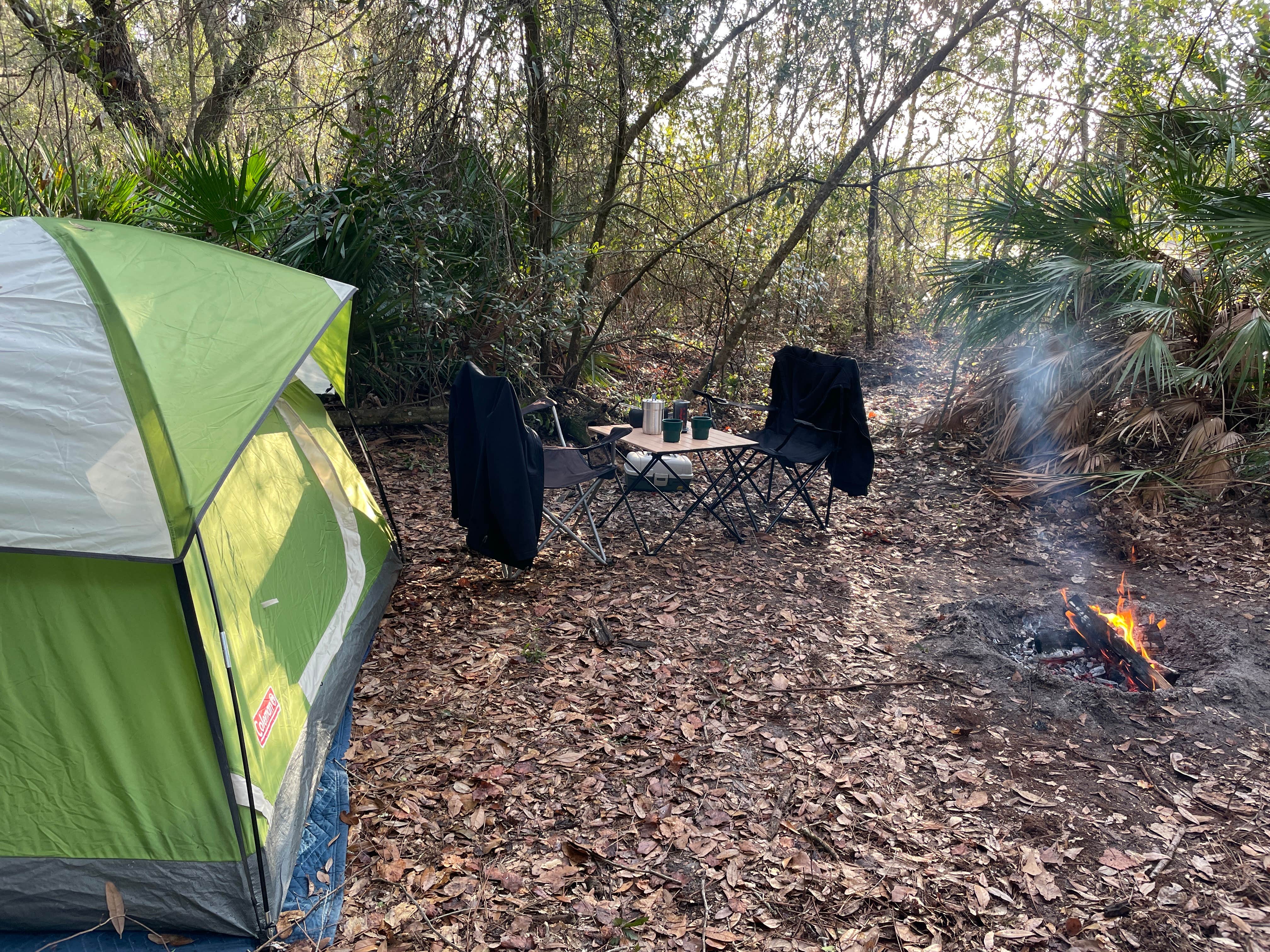 Camper submitted image from Hideout at The Green Swamp! - 5