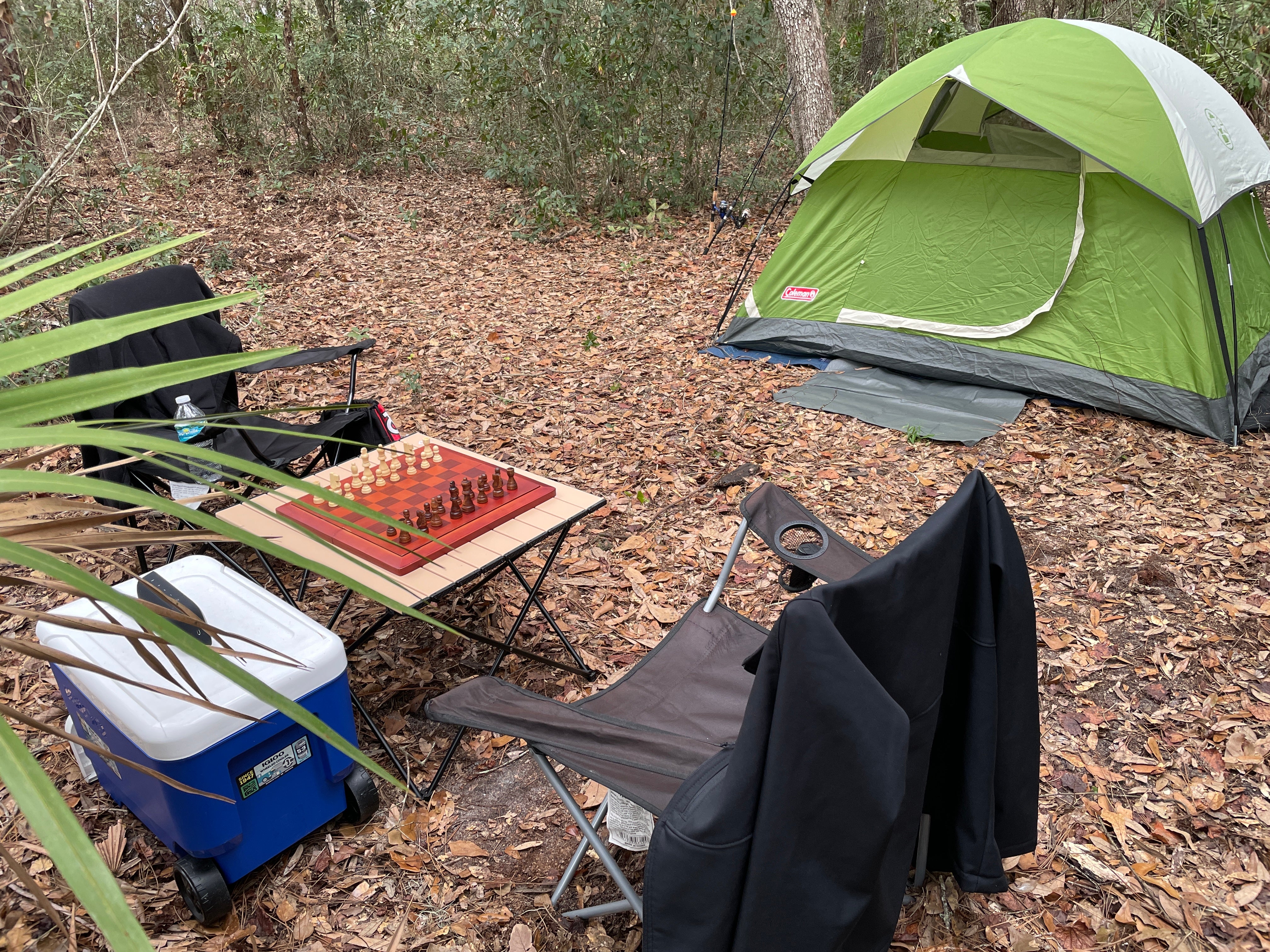 Camper submitted image from Hideout at The Green Swamp! - 4
