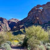 Review photo of Twin Peaks Campground — Organ Pipe Cactus National Monument by Carolyn S., January 22, 2023