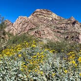 Review photo of Twin Peaks Campground — Organ Pipe Cactus National Monument by Carolyn S., January 22, 2023