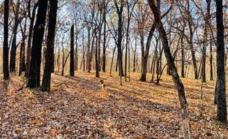 Hailey A.'s photo of camping with pets at Timber Springs Campground in Oklahoma