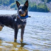 Review photo of Quartzite Campground — Devils Lake State Park by Selah S., September 29, 2018