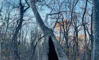 Hailey A.'s photo of camping with pets at Timber Springs Campground near Miami, OK