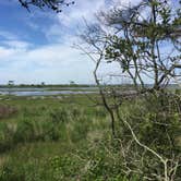 Review photo of Assateague Island National Seashore Oceanside Campground by Tony P., September 29, 2018