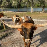 Review photo of Wilderness Shores Ranch & RV/Tent Campground by Nestor A., January 23, 2023