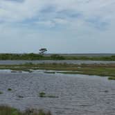 Review photo of Assateague Island National Seashore Oceanside Campground by Tony P., September 29, 2018