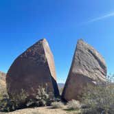 Review photo of Joshua Tree South - BLM Dispersed by Tanner H., January 23, 2023