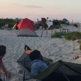 Review photo of Oceanside Assateague Campground — Assateague Island National Seashore by Tony P., September 29, 2018