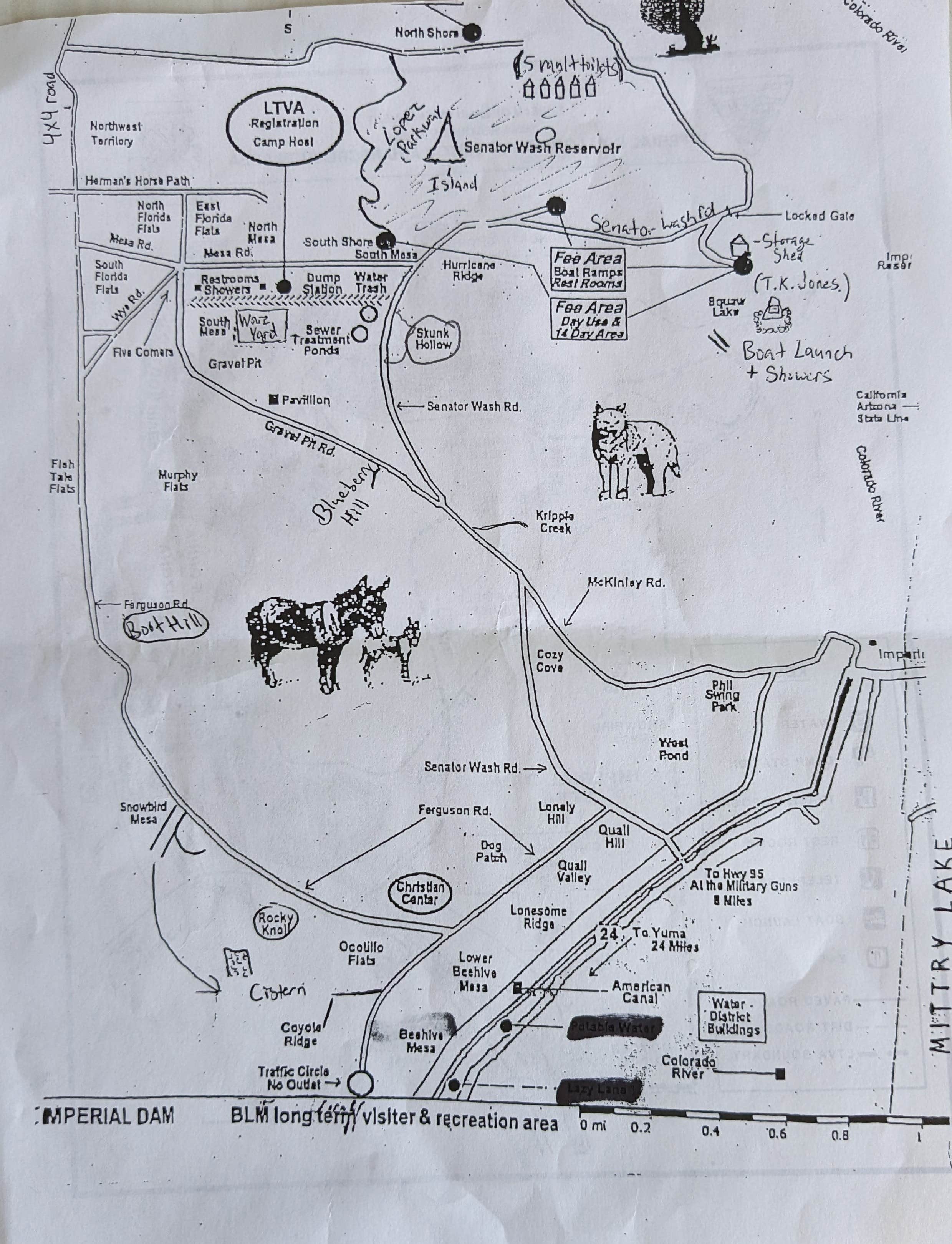 Greg L.'s photo of camping with pets at BLM Imperial Dam Long Term Visitor Area (LTVA) near Yuma, AZ