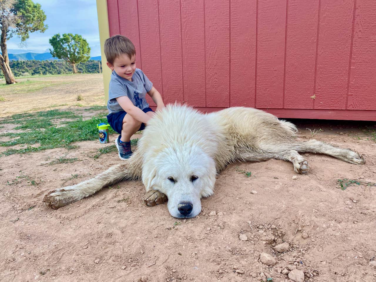 BrightStar C.'s photo of camping with pets at Bright Star Campground near Cortez, CO