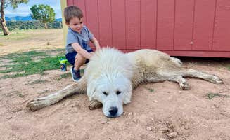 BrightStar C.'s photo of camping with pets at Bright Star Campground near Mesa Verde National Park