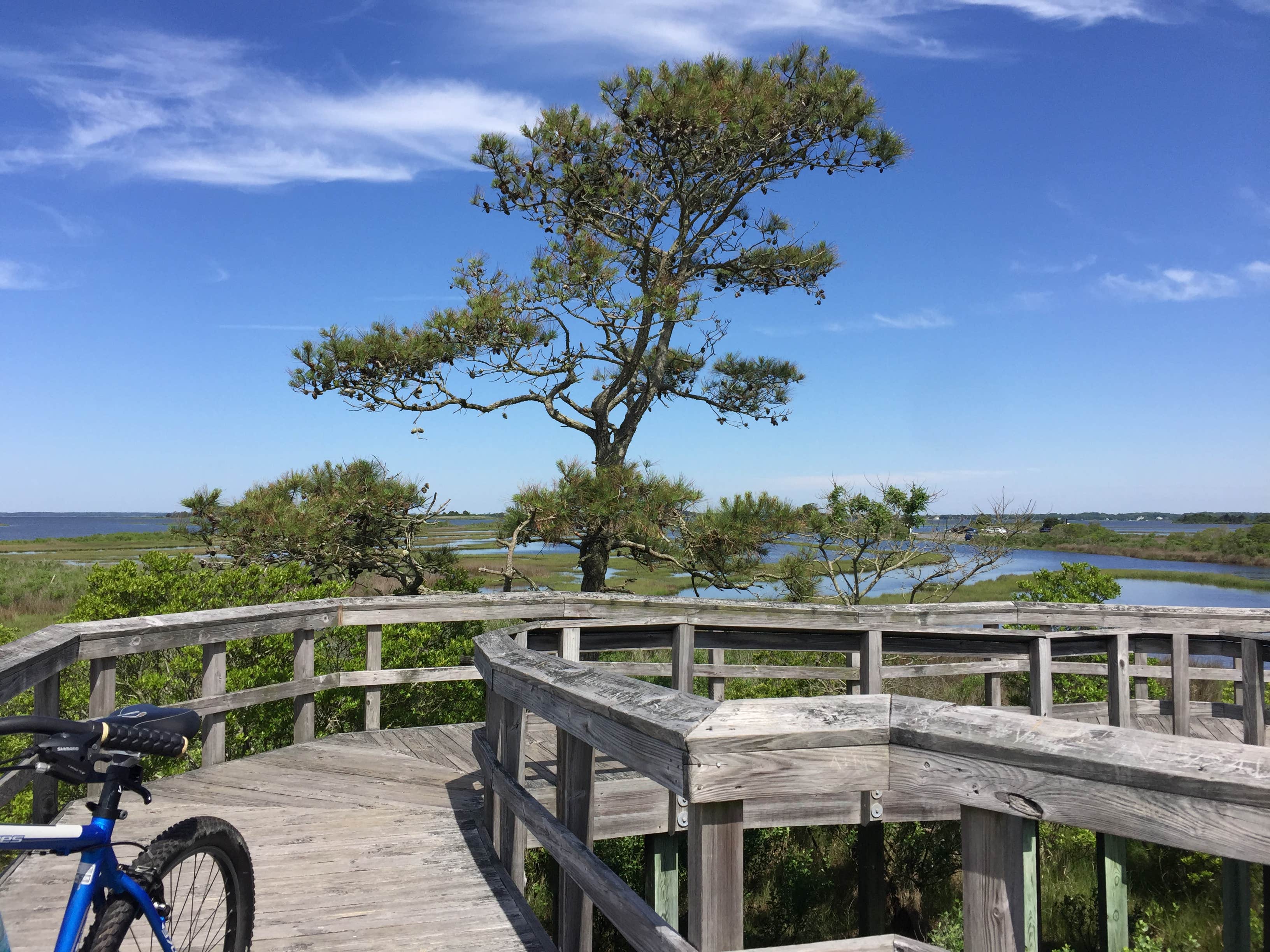 Oceanside Assateague Campground — Assateague Island National Seashore ...