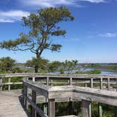 Review photo of Oceanside Assateague Campground — Assateague Island National Seashore by Tony P., September 29, 2018