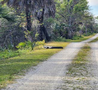 Camper-submitted photo from Pink Jeep Campground — Big Cypress National Preserve