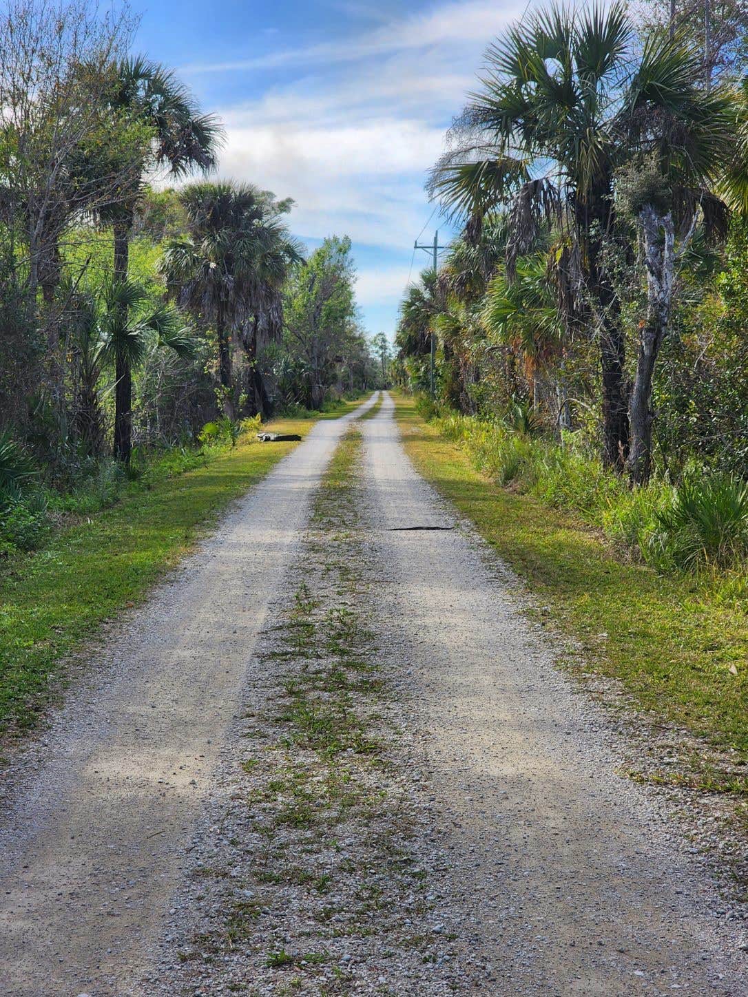 Camper-submitted photo at Pink Jeep Campground — Big Cypress National Preserve near LaBelle, FL