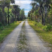 Review photo of Pink Jeep Campground — Big Cypress National Preserve by Anthony B., January 23, 2023