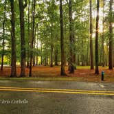 Review photo of Martin Dies, Jr. State Park Campground by Chris C., September 29, 2018